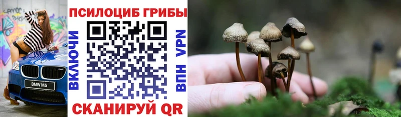 купить закладку Кировск Псилоцибиновые грибы MAGIC MUSHROOMS