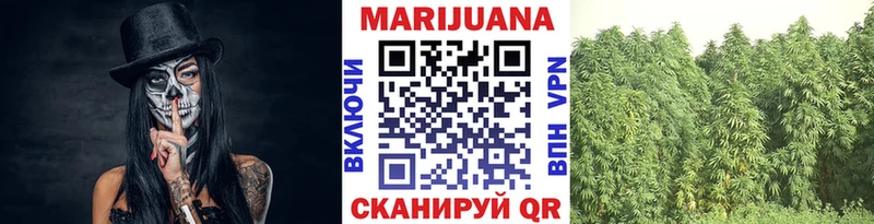 Бошки марихуана ГИДРОПОН  Кировск 